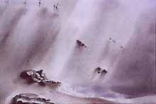 Misty Cove